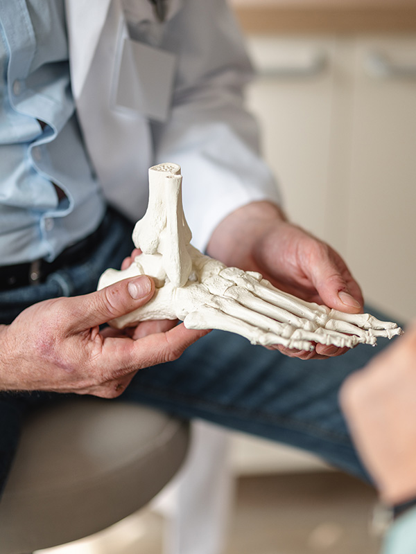 Doctor showing bones of a foot on a skeleton